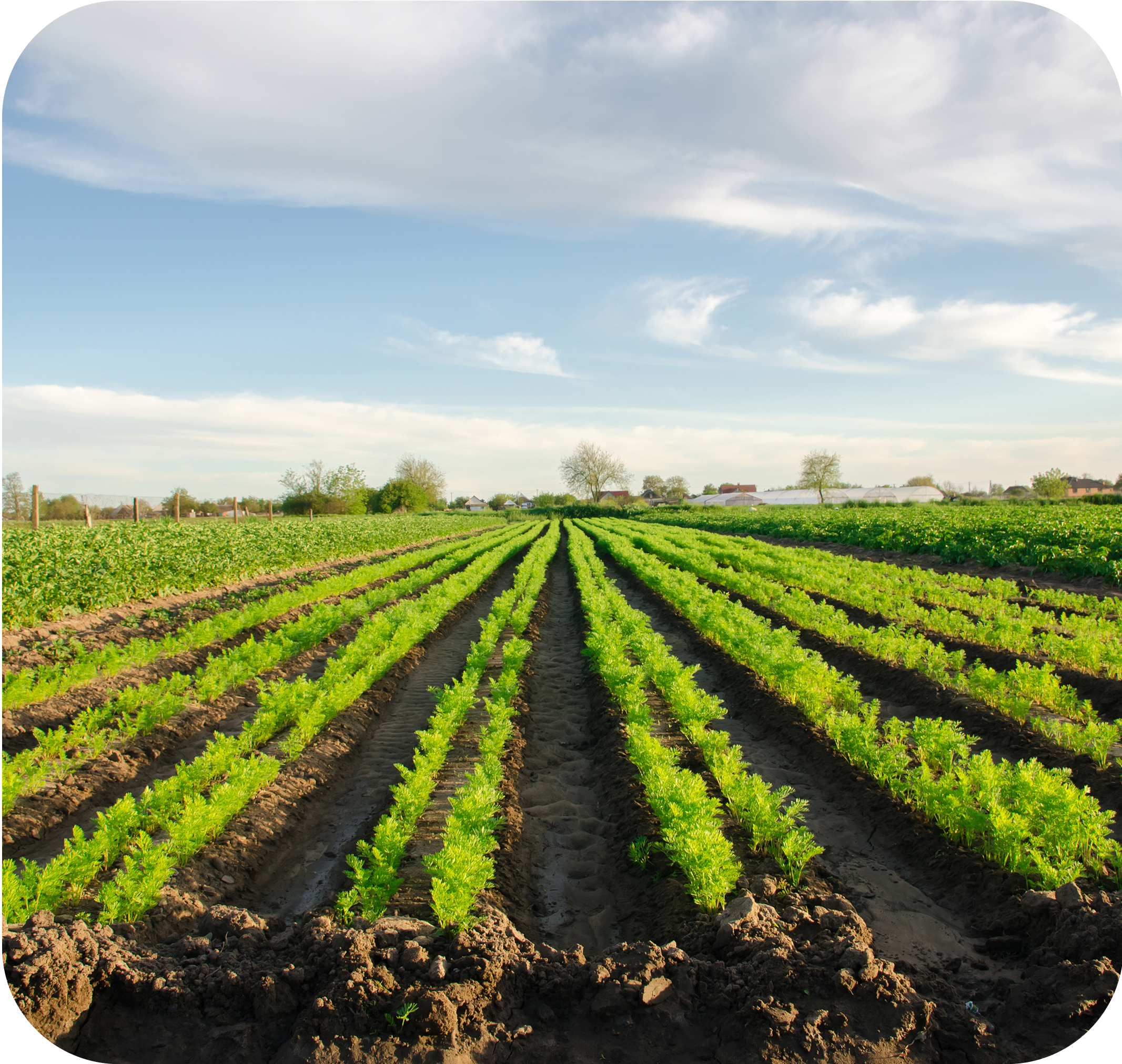 Handmade. Farm Fresh. Unique.